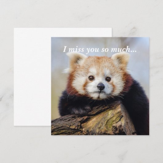 Niedlich Red Panda Miss Sie so viel (Vorne/Hinten)