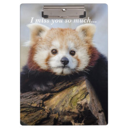 Niedlich Red Panda Miss Sie so viel Klemmbrett