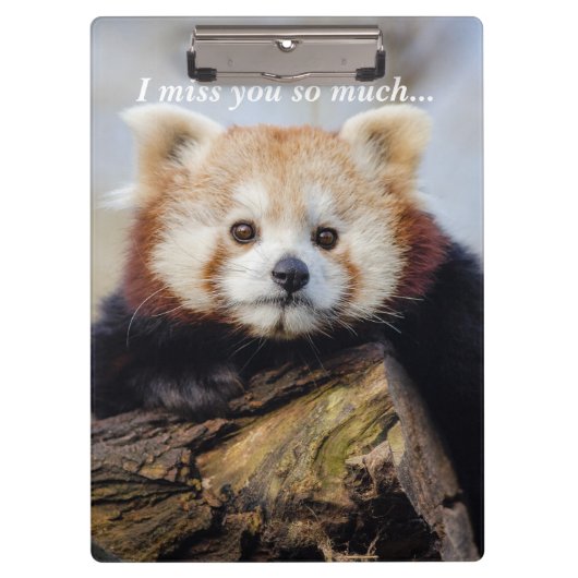 Niedlich Red Panda Miss Sie so viel Klemmbrett (Vorderseite)