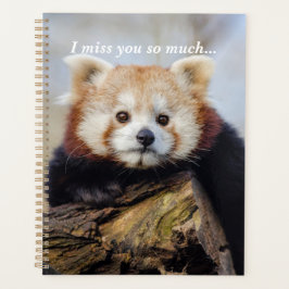 Niedlich Red Panda Miss Sie so viel Planer