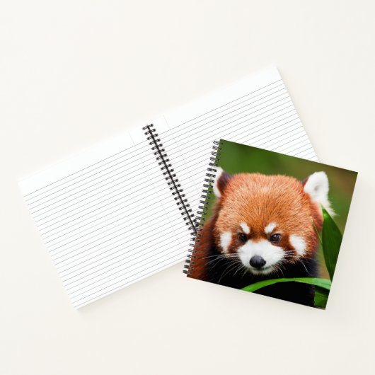 Niedlich Red Panda Notizblock (Innenseite)