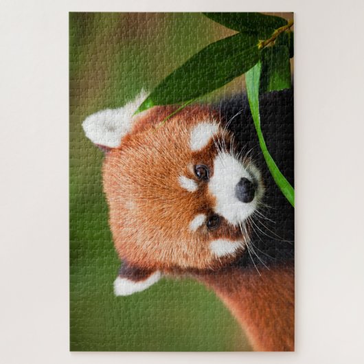 Niedlich Red Panda Puzzle (Vertikal)