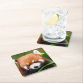 Niedlich Red Panda Rechteckiger Pappuntersetzer (Vor Ort)