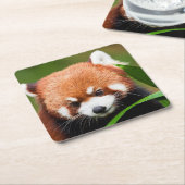 Niedlich Red Panda Rechteckiger Pappuntersetzer (angewinkelt)