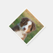Niedlich Red Tri Australian Shepherd Dog Puppy Fot Serviette (Ecke)