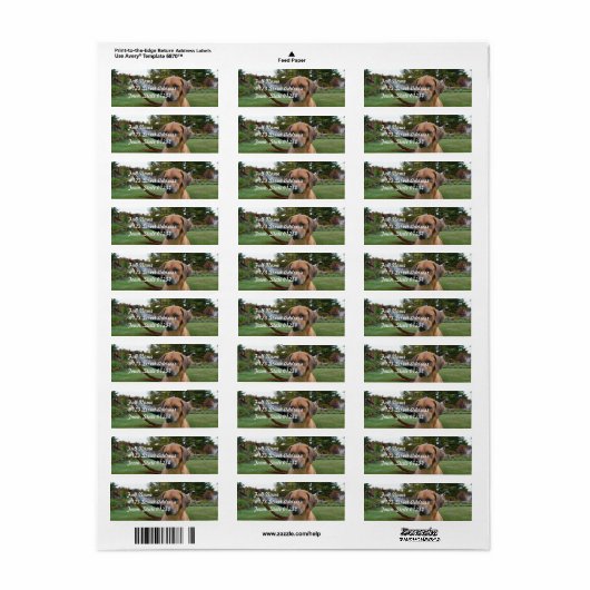 Niedlich Rhodesian Ridgeback (Vorne)