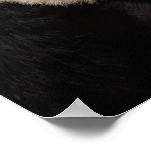 Niedlich Riant Panda Poster (Ecke)