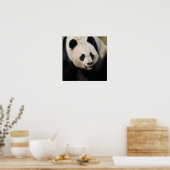 Niedlich Riant Panda Poster (Küche)