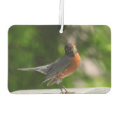 Niedlich Robin Autolufterfrischer (Rückseite)