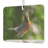 Niedlich Robin Autolufterfrischer (Links)