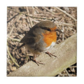 NIEDLICH ROBIN FLIESE (Vorderseite)