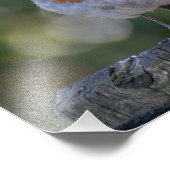 Niedlich Robin Fotodruck (Ecke)