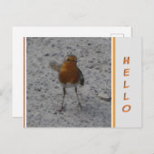 Niedlich Robin HELLO Postcard Postkarte (Vorne/Hinten)