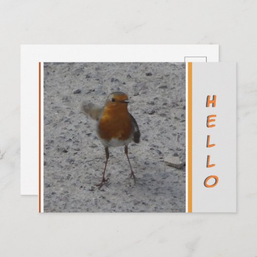 Niedlich Robin HELLO Postcard Postkarte (Vorne/Hinten)