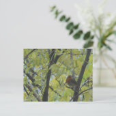 Niedlich Robin in Tree DIY Postcard Postkarte (Stehend Vorderseite)