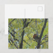 Niedlich Robin in Tree DIY Postcard Postkarte (Vorne/Hinten)