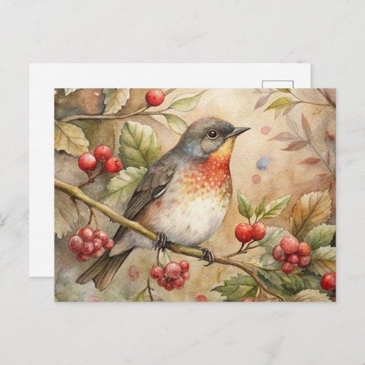 Niedlich Robin Postkarte (Vorne/Hinten)