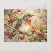 Niedlich Robin Postkarte (Vorderseite)