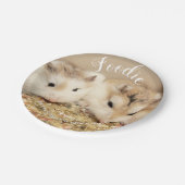 Niedlich Robo Hamsters Feinschmecker Pappteller (Schrägansicht)