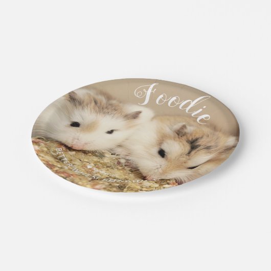 Niedlich Robo Hamsters Feinschmecker Pappteller (Schrägansicht)