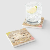 Niedlich Robo Hamsters Feinschmecker Steinuntersetzer (Seitenansicht)