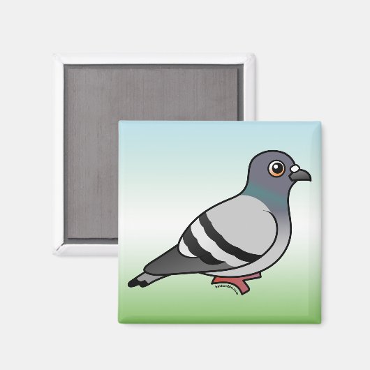 Niedlich Rock Pigeon Magnet (Vorderseite/Rückseite)