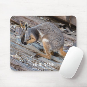 Niedlich Rock Wallaby Animal Wildlife Australien Mousepad
