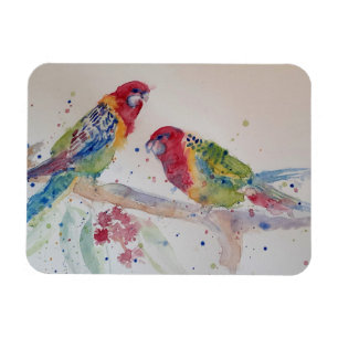 Niedlich Rosella Parrots Vogel Magnet