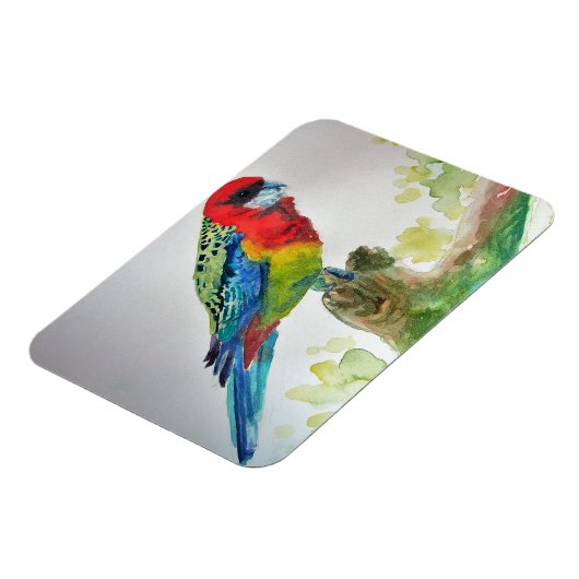 Niedlich Rosella Parrots Vogel Magnet (Linke Seite)