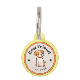 NIEDLICH! Round Pet Tag - Bester Freund Fur je Haustiermarke