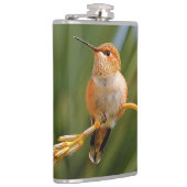 Niedlich Rufous Hummingbird auf der Blume Flachmann (Rechts)