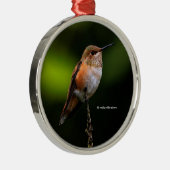 Niedlich Rufous Hummingbird auf Fruchtbaum Ornament Aus Metall (Rechts)