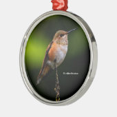 Niedlich Rufous Hummingbird auf Fruchtbaum Ornament Aus Metall (Links)