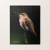 Niedlich Rufous Hummingbird auf Fruchtbaum Puzzle (Vertikal)
