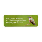 Niedlich Rufous Hummingbird zu California Lilac (Vorne)