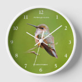 Niedlich Rufous Hummingbird zu California Lilac Uhr (Vorderseite)