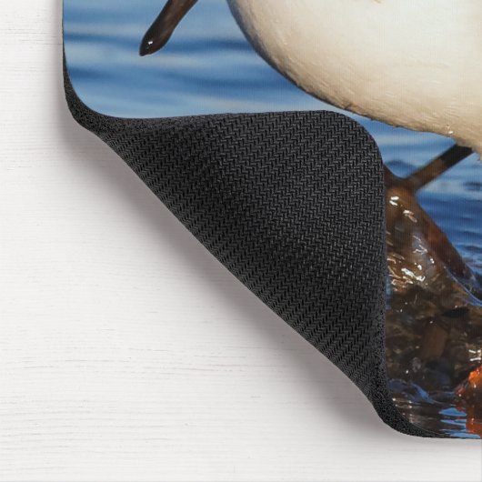 Niedlich Sanderling Sandpiper Shorebird Wanders Be Mousepad (Ecke)