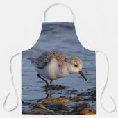 Niedlich Sanderling Sandpiper Stroll Wintry Beach Schürze (Vorderseite)