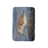 Niedlich Sanderling Sandpiper Walking Winter Beach Badematte (Vorderseite Vertikal)