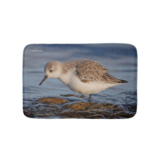 Niedlich Sanderling Sandpiper Walking Winter Beach Badematte (Vorderseite)