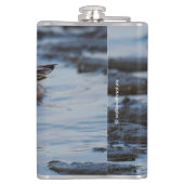 Niedlich Sanderling Sandpiper Wanders Winterküste Flachmann (Rückseite)