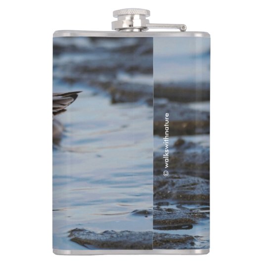 Niedlich Sanderling Sandpiper Wanders Winterküste Flachmann (Rückseite)