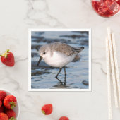 Niedlich Sanderling Sandpiper Wanders Winterküste Serviette (Beispiel)