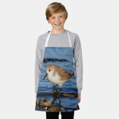 Niedlich Sanderling Sandpiper Wanders Wintry Shoes Schürze (Getragen)