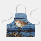Niedlich Sanderling Sandpiper Wanders Wintry Shoes Schürze (Vorderseite)