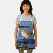 Niedlich Sanderling Sandpiper Wanders Wintry Shoes Schürze (Insitu)