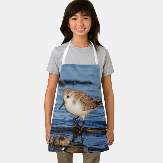 Niedlich Sanderling Sandpiper Wanders Wintry Shoes Schürze (Insitu)