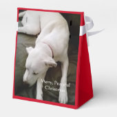 Niedlich Schlafen Friedlicher Welpen Weihnachten Geschenkschachtel (Rückseite)