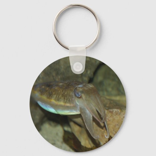 Niedlich Schlüsselanhänger (Vorderseite)