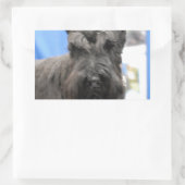 Niedlich Schnauzer Stickers (Tasche)